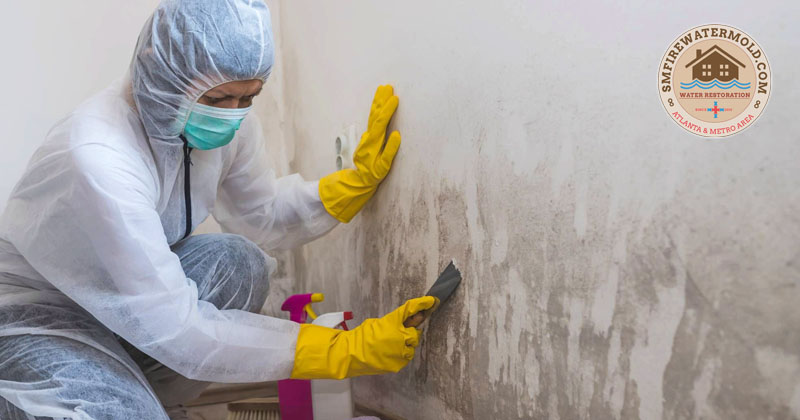 Mold Remediation Services in Georgia