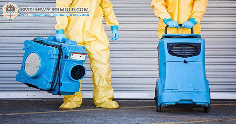 Mold Remediation Services in Georgia