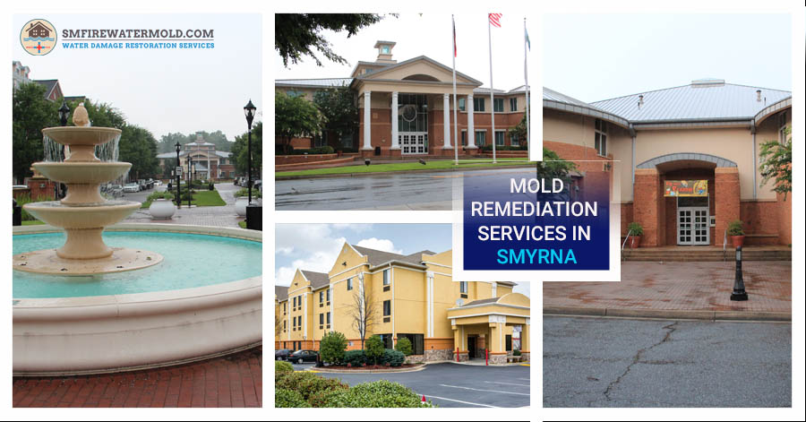 Mold remediation services Smyrna; Plumbing Services Smyrna GA;